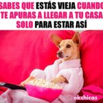 Las mejores excusas graciosas para evadir una fiesta y quedarte en casa riendo a carcajadas